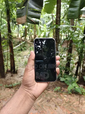 Apple iPhone 11 128 GB (Used)