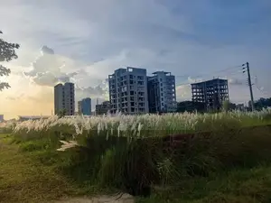 5-Katha//M-Block//Plot Sale//In Bashundhara R/A