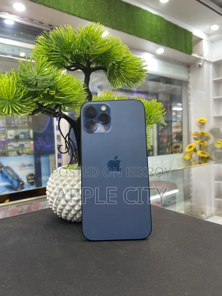 Apple iPhone 12 Pro Max . (Used)