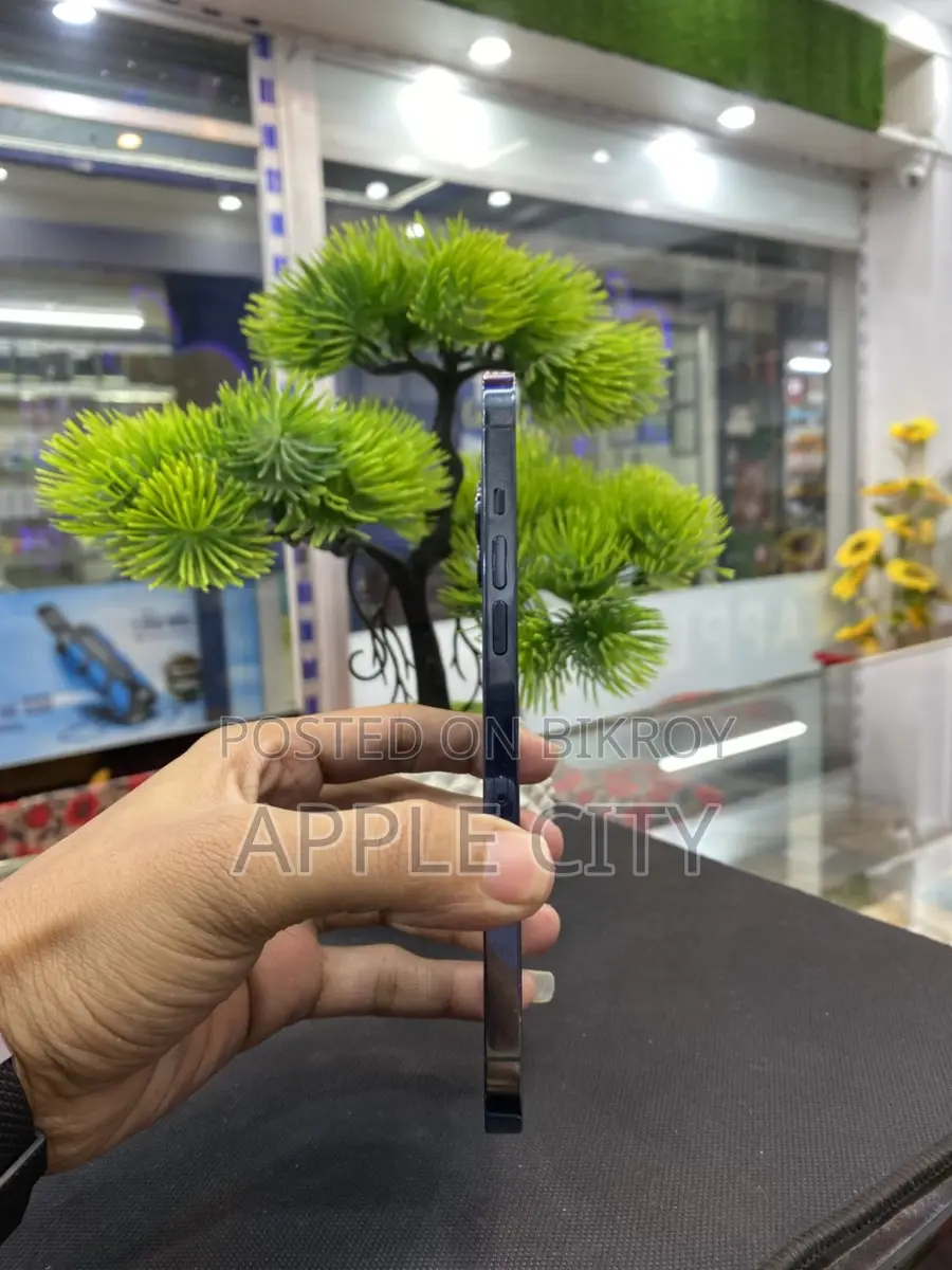 Apple iPhone 12 Pro Max . (Used)