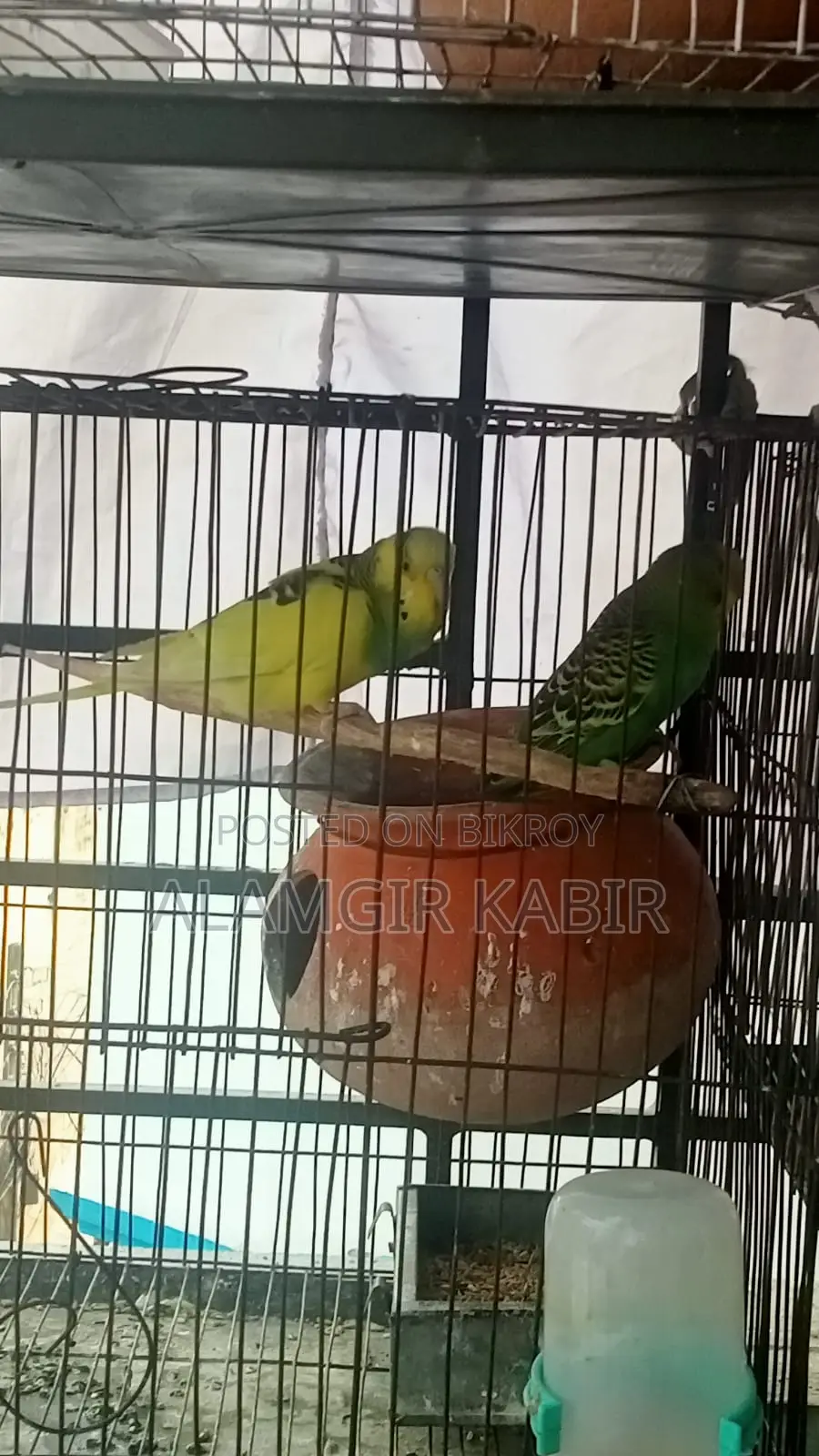 Brand New Bird Cage