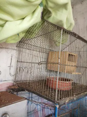 খাচা + ব্রিডিং বক্স