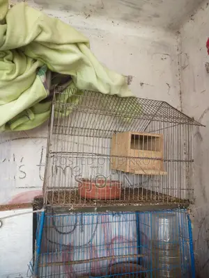 খাচা + ব্রিডিং বক্স