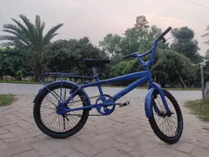 20″ Kids' Bicycle | Fully Serviced