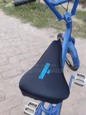 20″ Kids' Bicycle | Fully Serviced