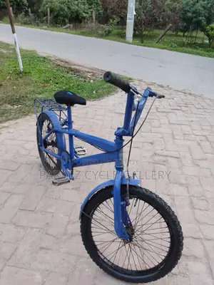 20″ Kids' Bicycle | Fully Serviced