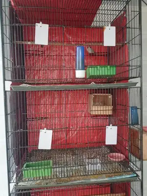 ৪ তলা বানানো খাঁচা