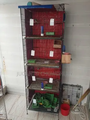 ৪ তলা বানানো খাঁচা