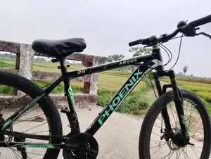 Bicycle for Sale