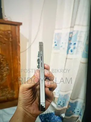 Apple iPhone 13 Pro (Used)