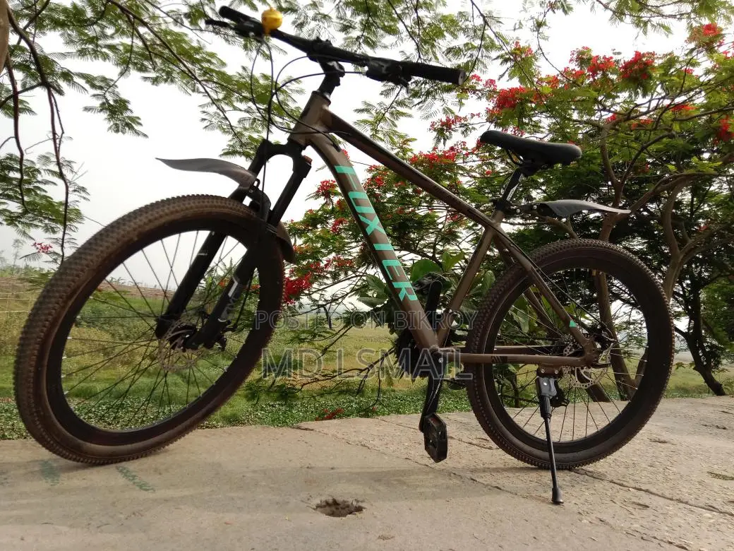 Foxstar Bicycle