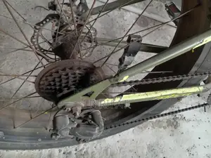 Non-Gear Bicycle