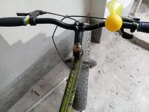Non-Gear Bicycle