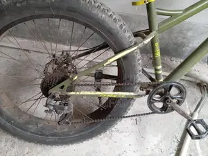 Non-Gear Bicycle