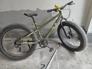 Non-Gear Bicycle