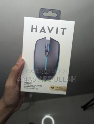 Havit Wireless Gaming Mouse