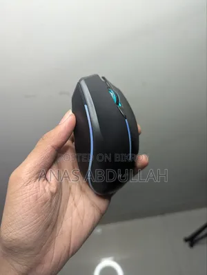 Havit Wireless Gaming Mouse