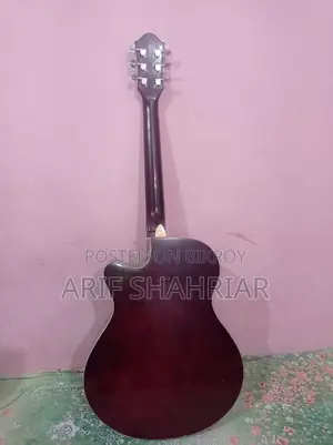 কাস্টম চাইনিজ গিটার বিক্রির জন্য