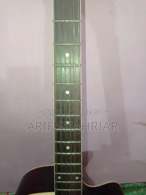 কাস্টম চাইনিজ গিটার বিক্রির জন্য