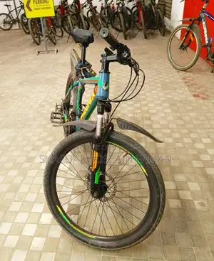 Phoenix Inpulse X10(24")