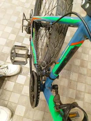 Phoenix Inpulse X10(24")