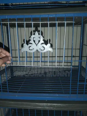Pigeon Cage For Sell