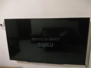 Sony Tv 55 (Display Broken)