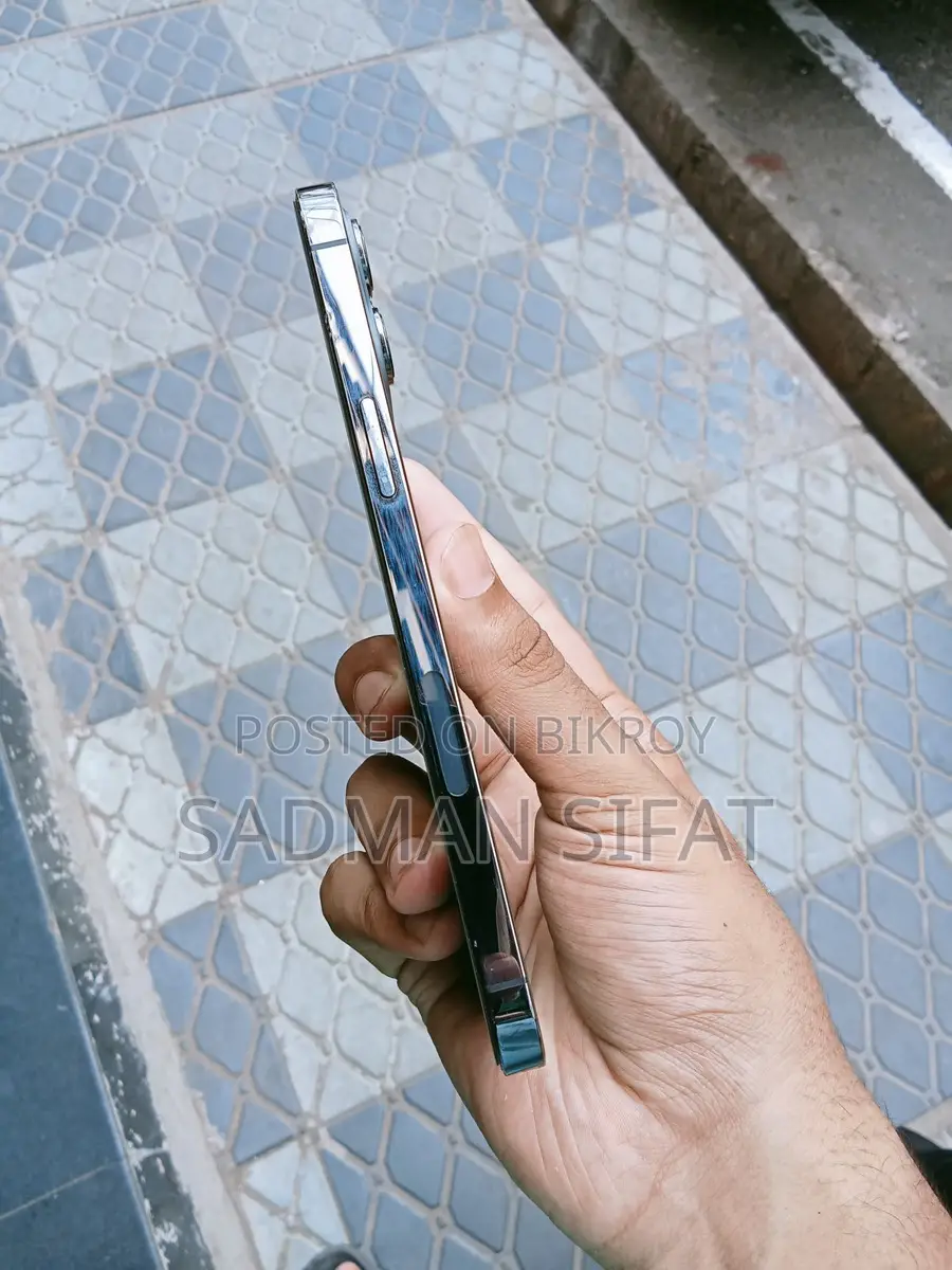 Apple iPhone 12 Pro Max (Used)