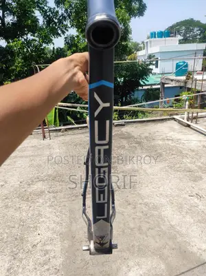 Cycle Frame