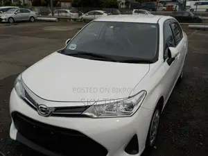 Toyota Axio Ex Package 2019