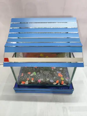 Unique Aquarium
