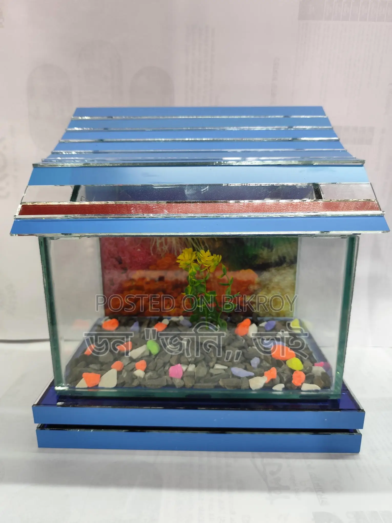 Unique Aquarium