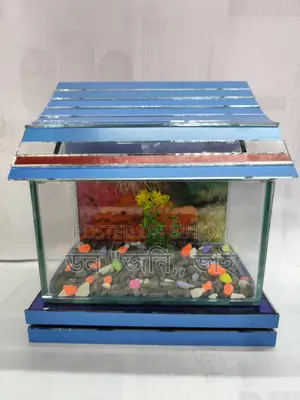 Unique Aquarium