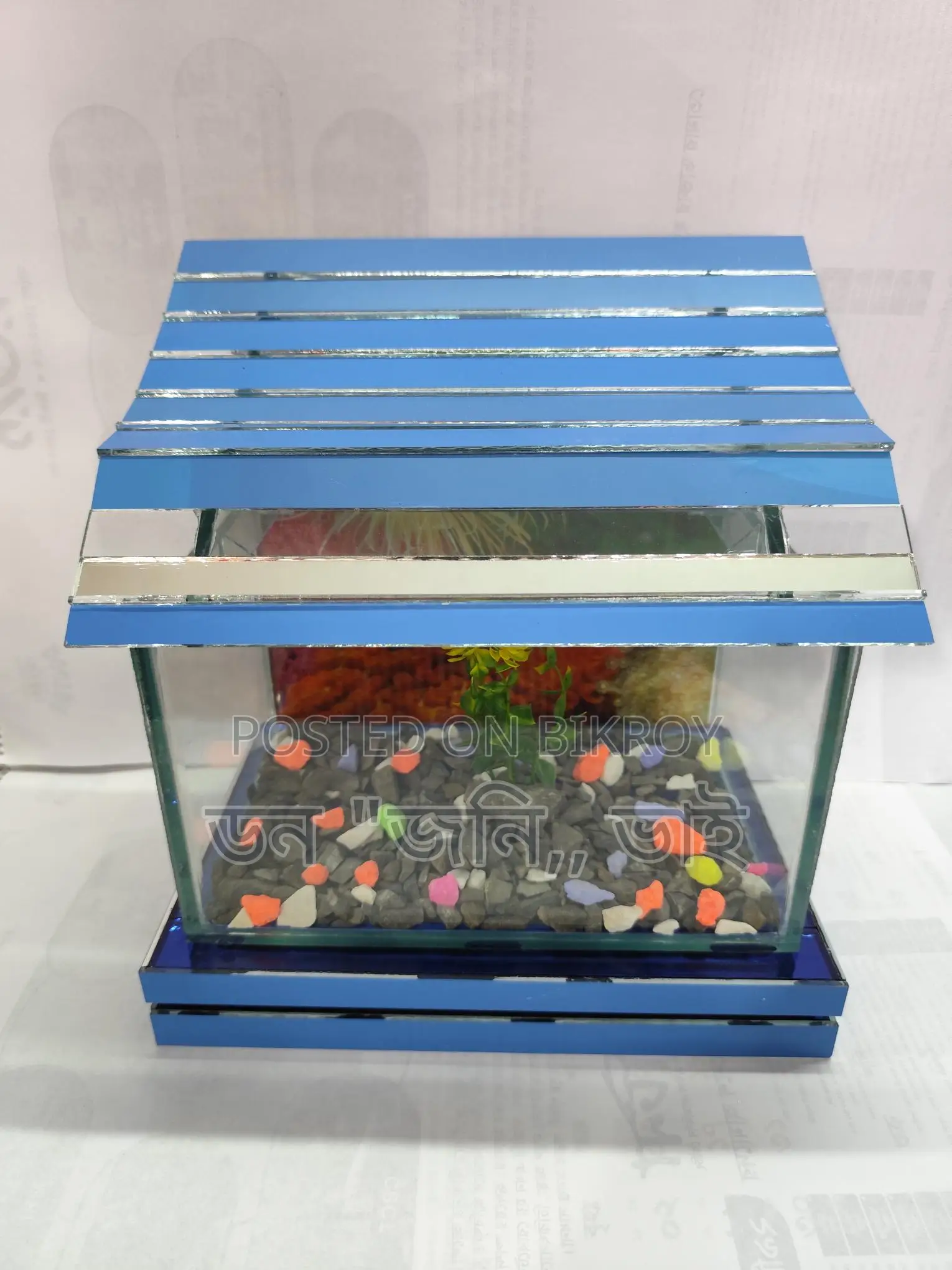 Unique Aquarium