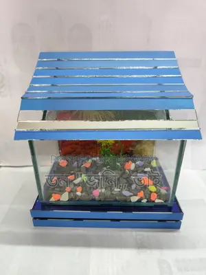 Unique Aquarium
