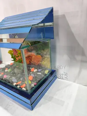 Unique Aquarium