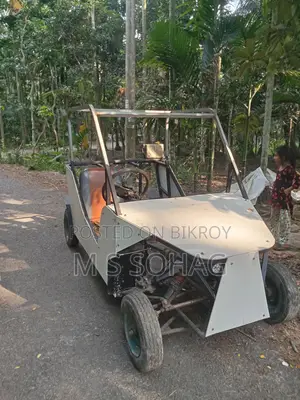 2026 Custom Buggy Car