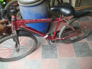 Bicycle for sale