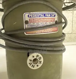 Pak 24" Pedestal Fan Olive