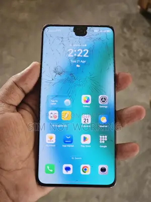 Huawei Honor X9c 12/256 (Used)