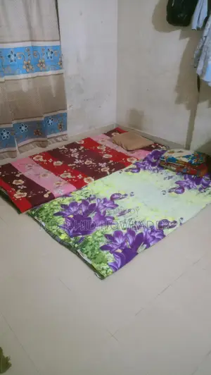 2 টি সিঙ্গেল তোষক এবং বালিস