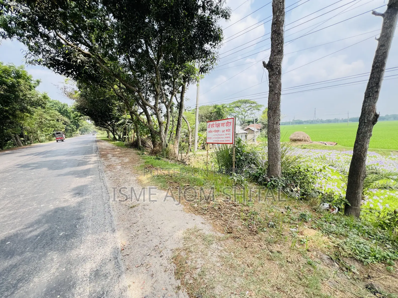 Urgent Sale! 65 Katha Land Adjacent to Pabna, Gachpara Main Road.