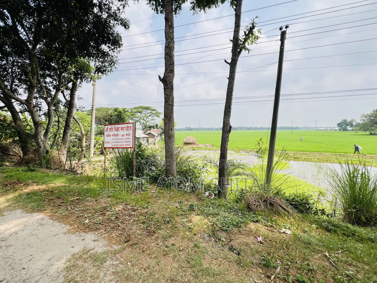 Urgent Sale! 65 Katha Land Adjacent to Pabna, Gachpara Main Road.