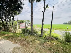Urgent Sale! 65 Katha Land Adjacent to Pabna, Gachpara Main Road.
