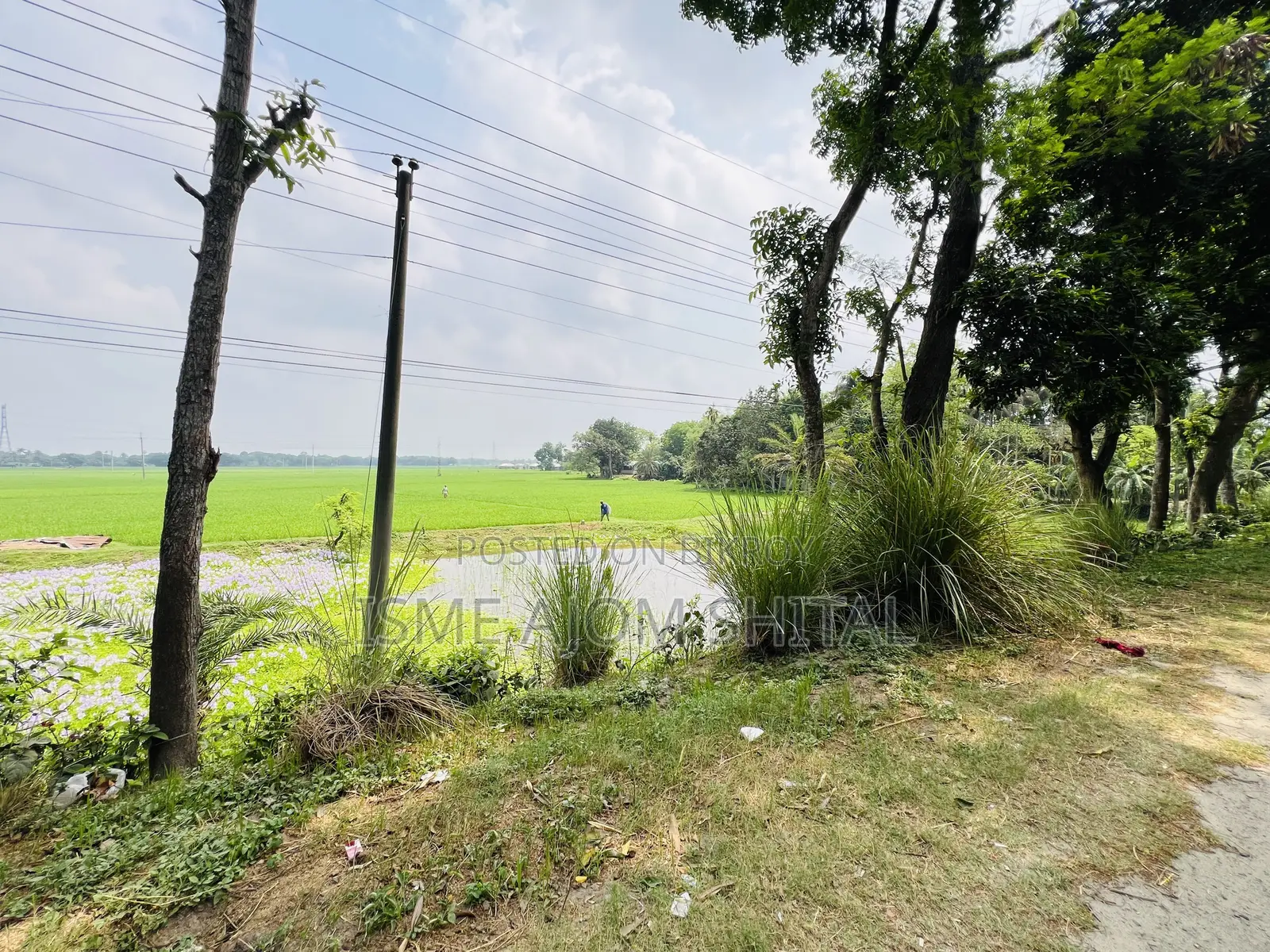 Urgent Sale! 65 Katha Land Adjacent to Pabna, Gachpara Main Road.