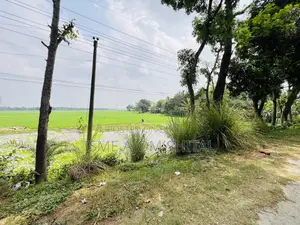 Urgent Sale! 65 Katha Land Adjacent to Pabna, Gachpara Main Road.