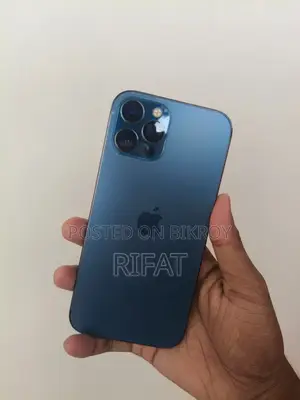 Apple iPhone 12 Pro Max (Used)