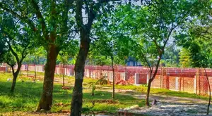 We provide 100% guarantee for the housing project "Navana"