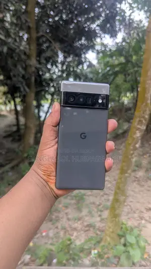 Google Pixel 6 Pro , (Used)