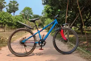 Seventy One 24″ Non-Gear Bicycle
